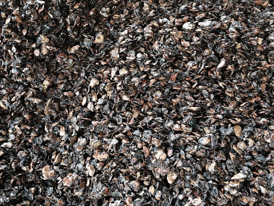 cashew nut shell oil pressed